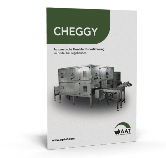 Cheggy